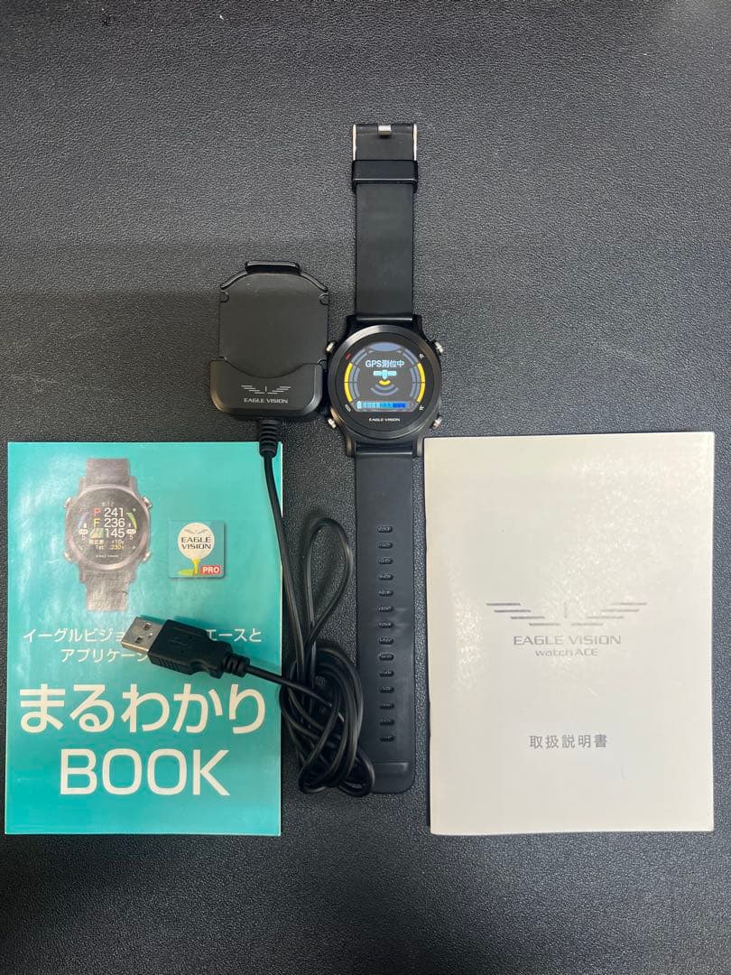 EAGLE VISION watch ACE GPSナビ