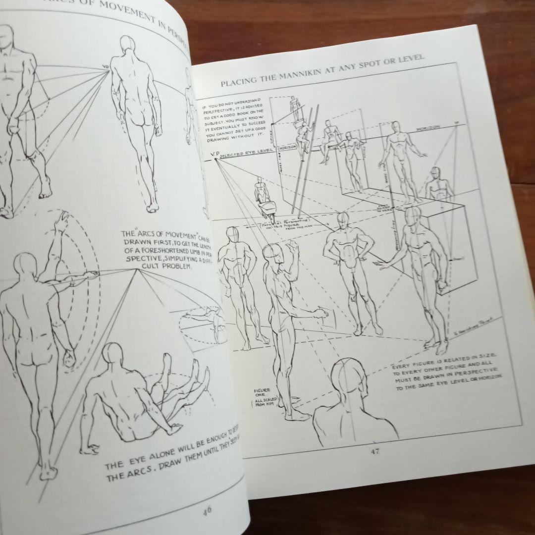 Figure Drawing 　美術　解剖図　遠近法　ドローイング　イラスト