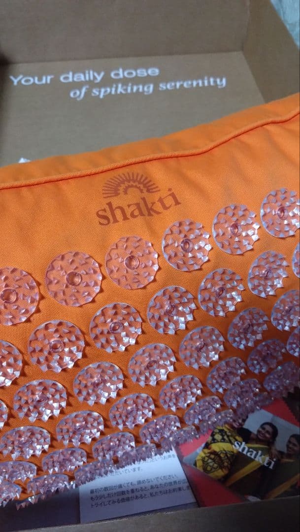 Shakti シャクティ プレミアムピロー