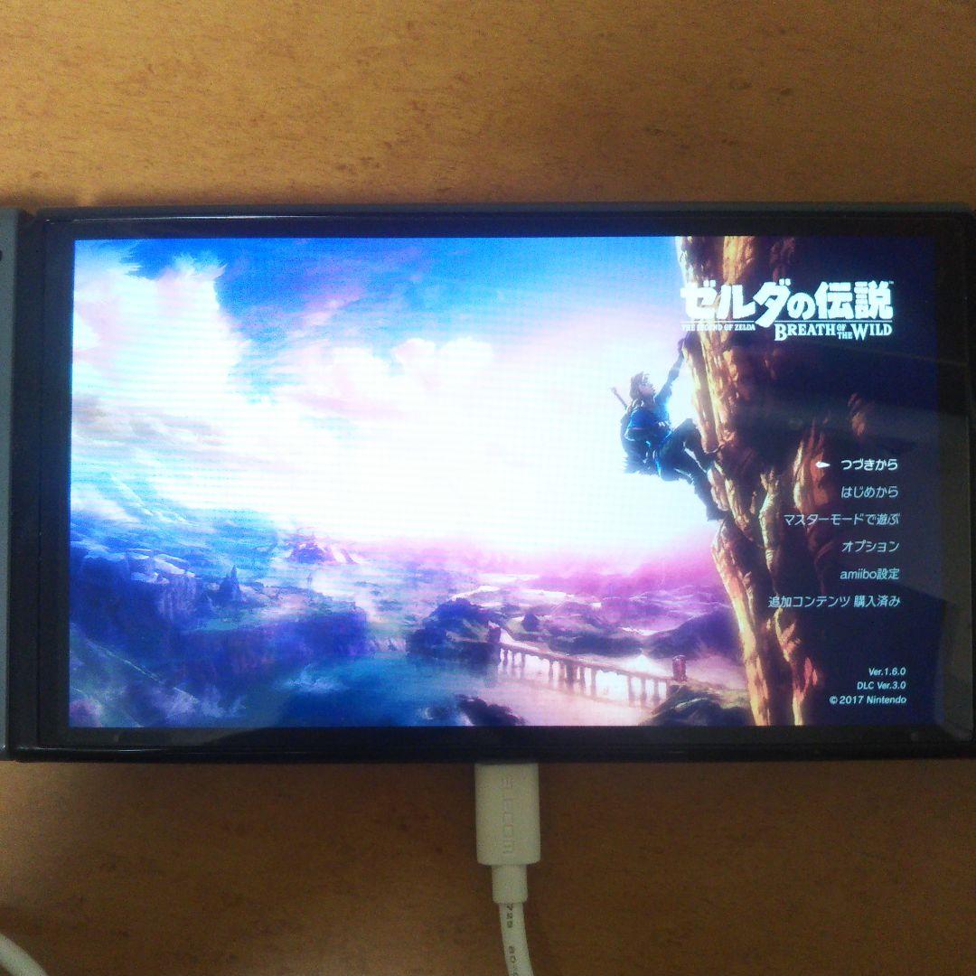 Nintendo Switch ブレスオブザワイルド エキスパンションパス