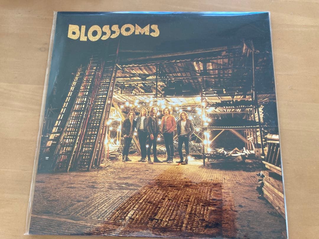 レア　ブロッサムズ　レコード　12インチ　サイン入り　blossoms