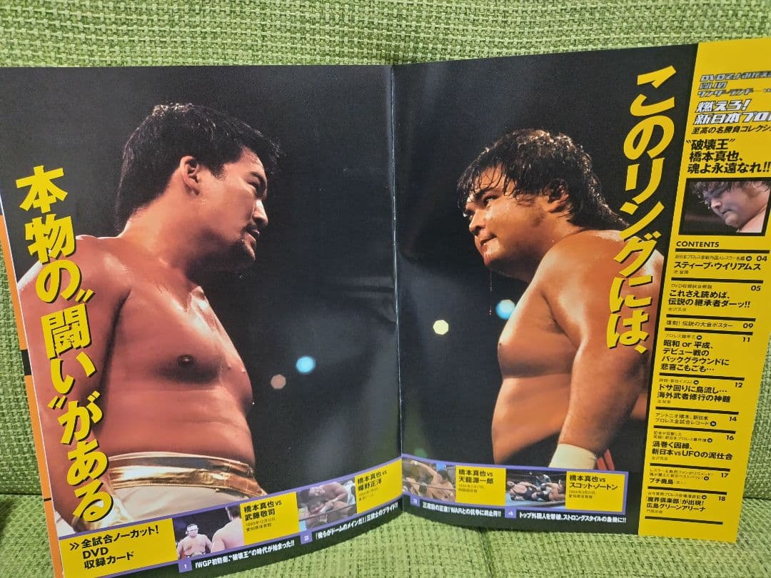 燃えろ！新日本プロレス vol.34 vol.67