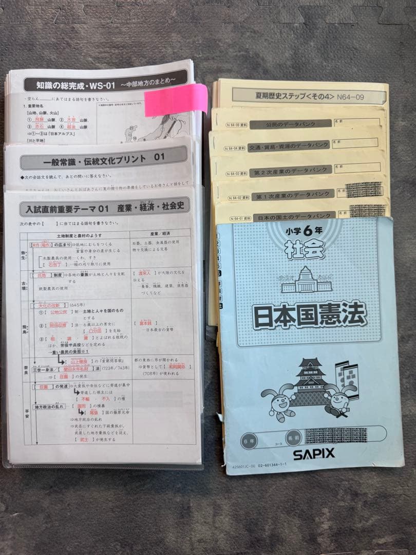 user_d5547334 ⭐︎最新版フルセット③ SAPIXサピックス6年