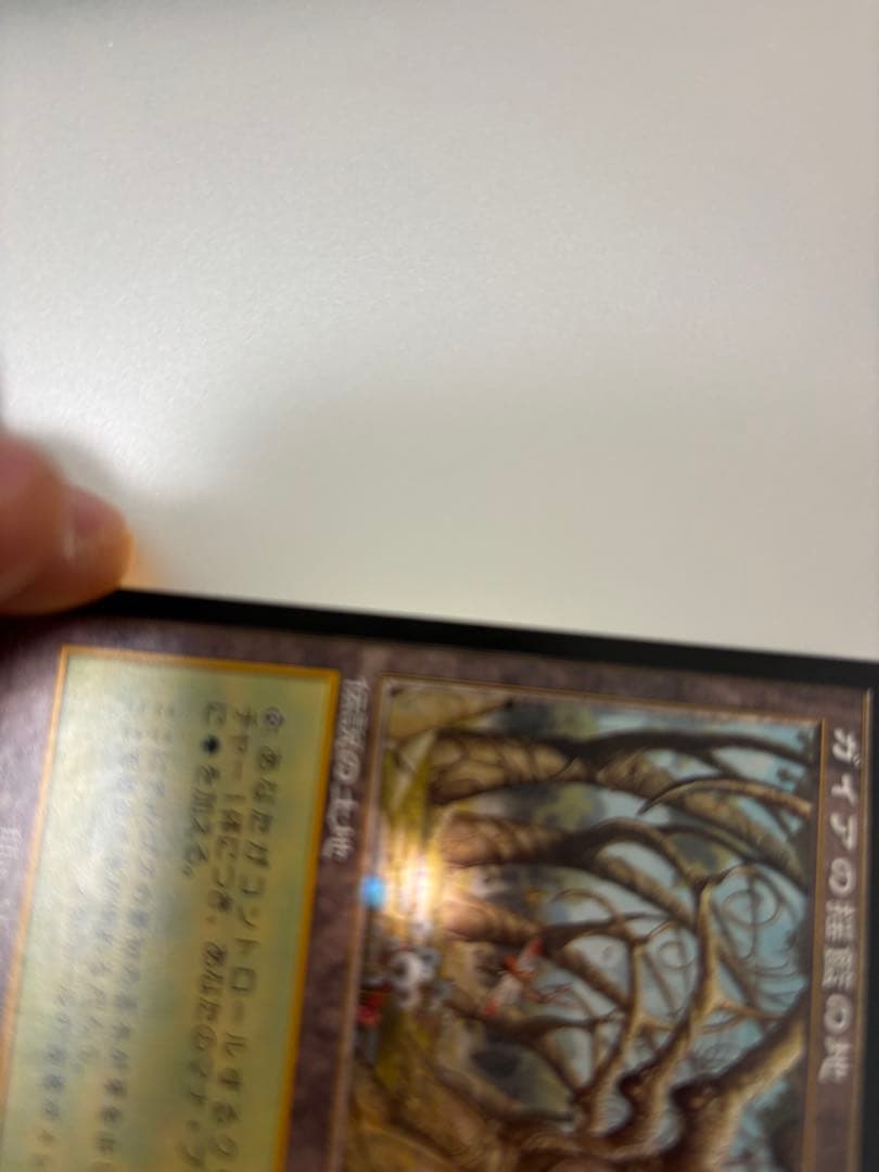 MTG ガイアの揺籃の地 日本語版