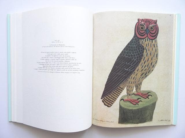 洋書◆鳥の画集 作品写真集 本 自然史