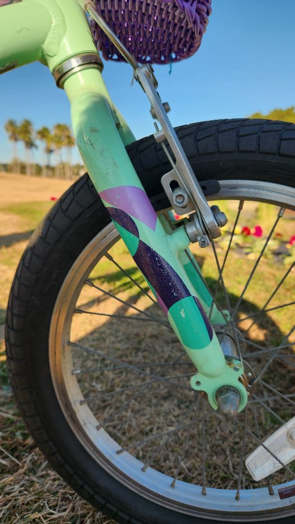 ELECTRA SPROCKET 16\" エレクトラビーチクルーザー