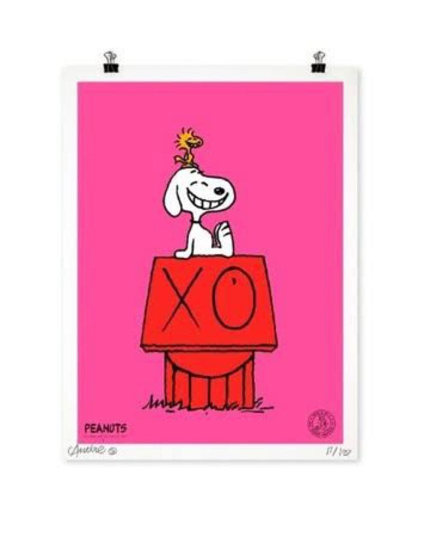 【額装付き】当選品Andre Saraiva × SNOOPY