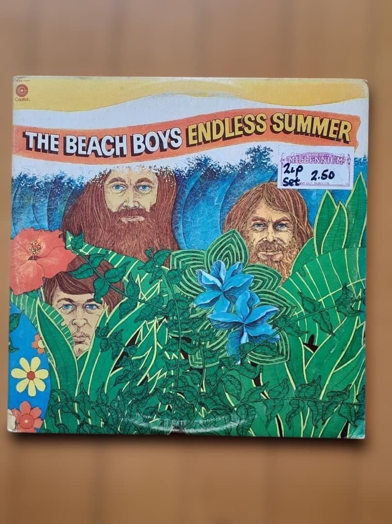 The Beach Boys Endless Summer レコード