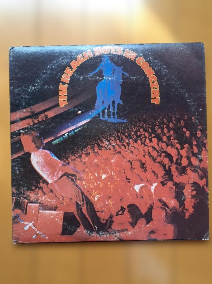 The Beach Boys Endless Summer レコード
