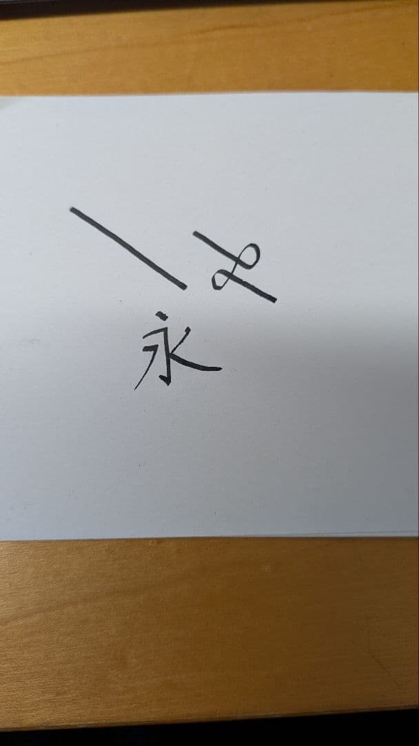 PILOT CUSTOM 74 MS　（専用コンバーター付）