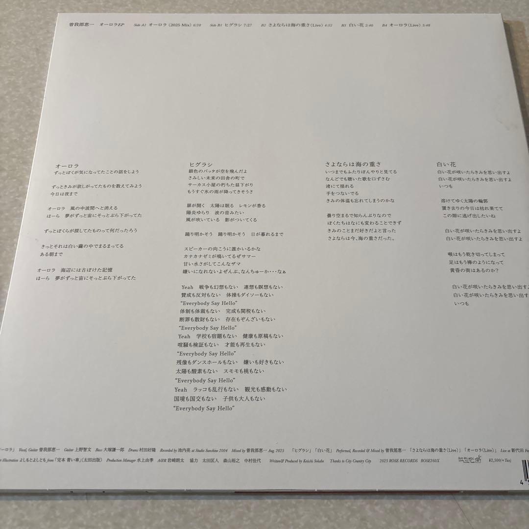 曽我部恵一「オーロラEP 」12”シングルレコード