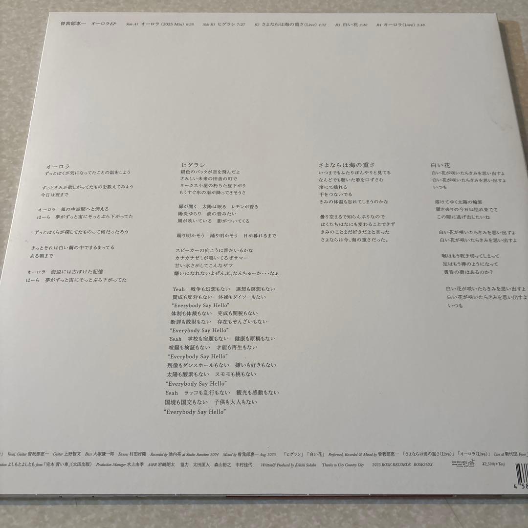 曽我部恵一「オーロラEP 」12”シングルレコード