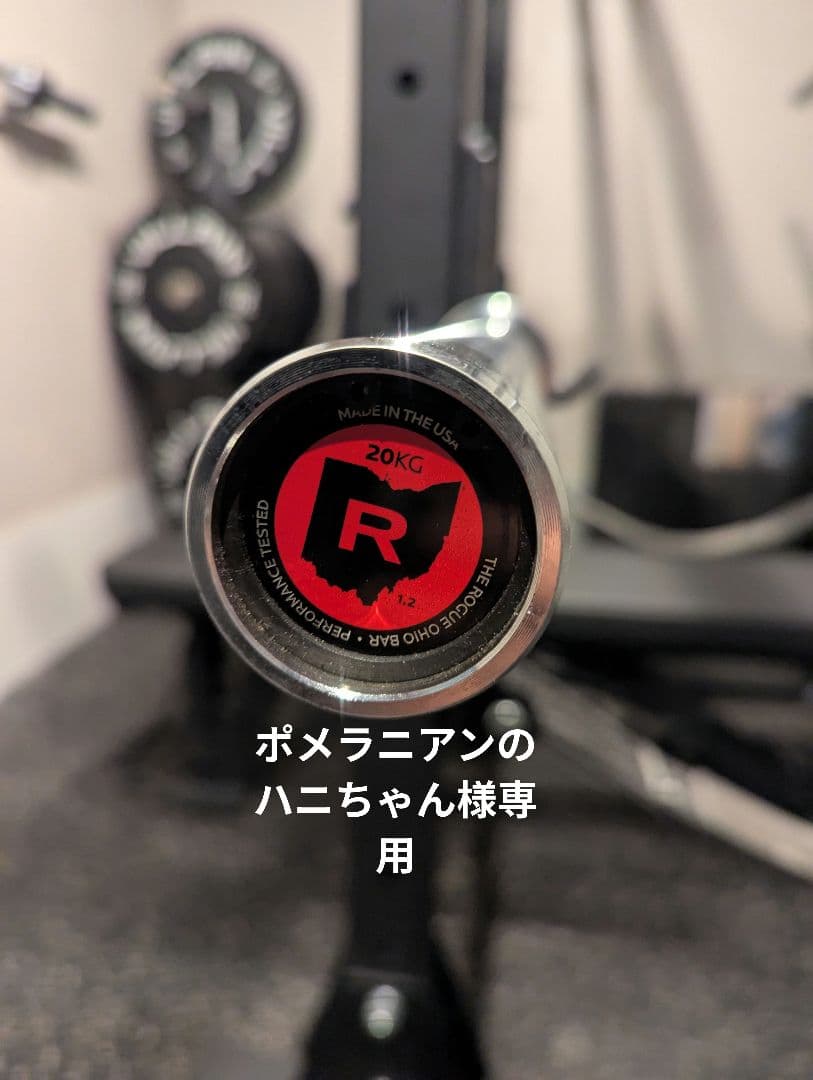 ROGUE オハイオバー　ステンレススチール