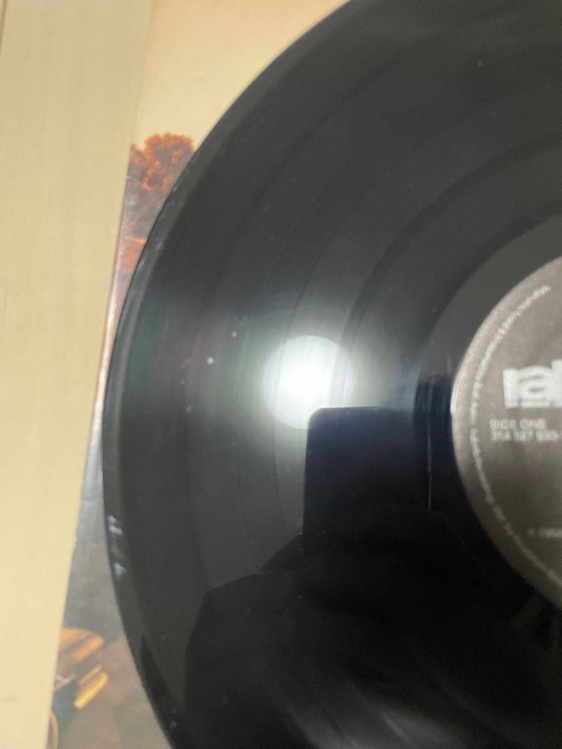 ※値下げ応じます　THE DOVE SHACK lp