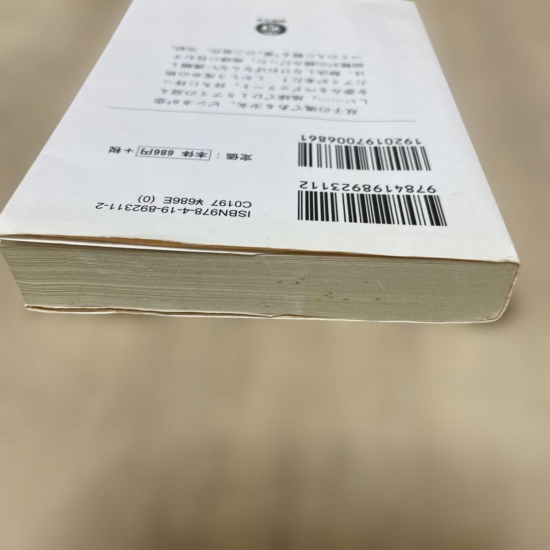 アミ3度めの約束 愛はすべてをこえて