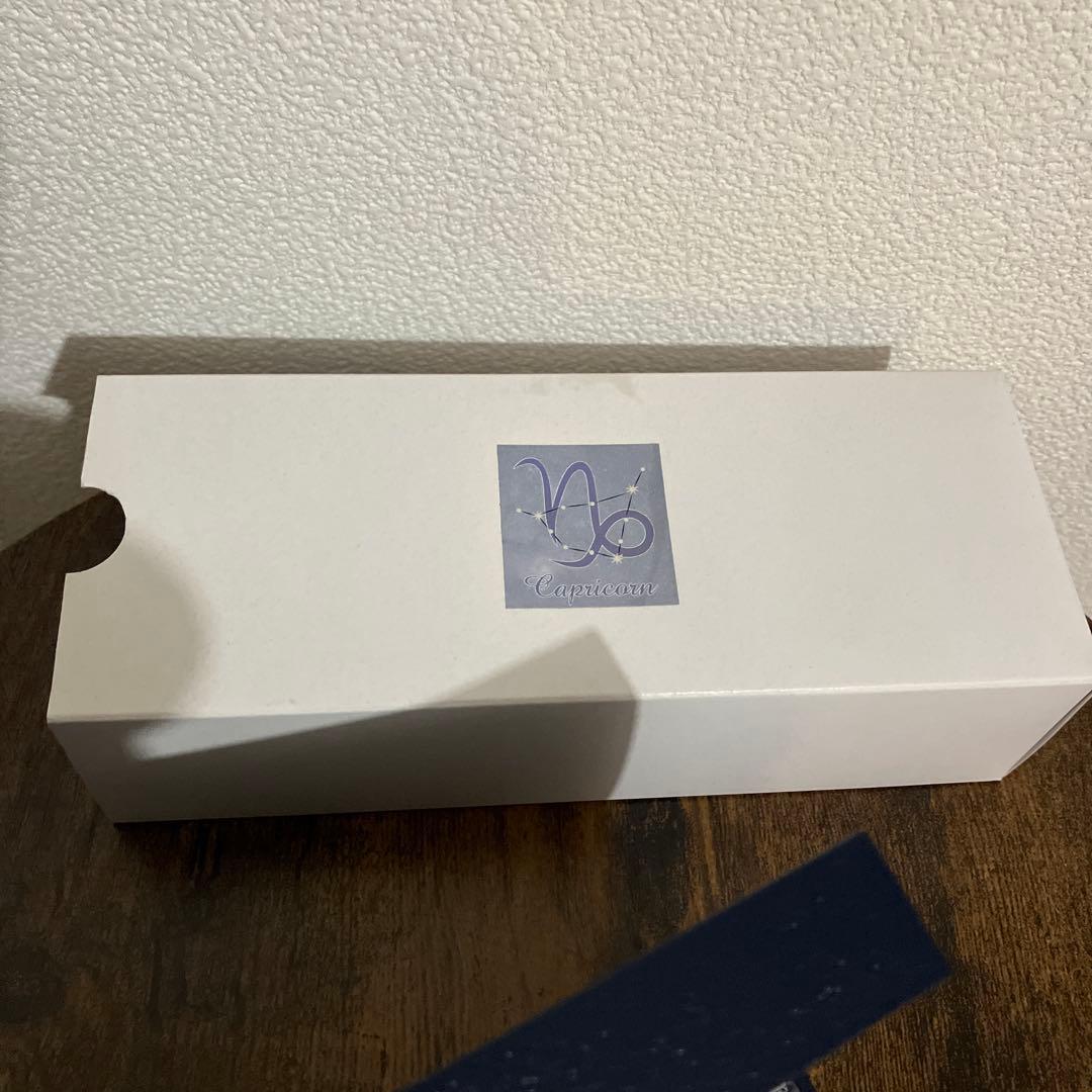 BUNGUBOX ZODIAC 万年筆 グレー　山羊座