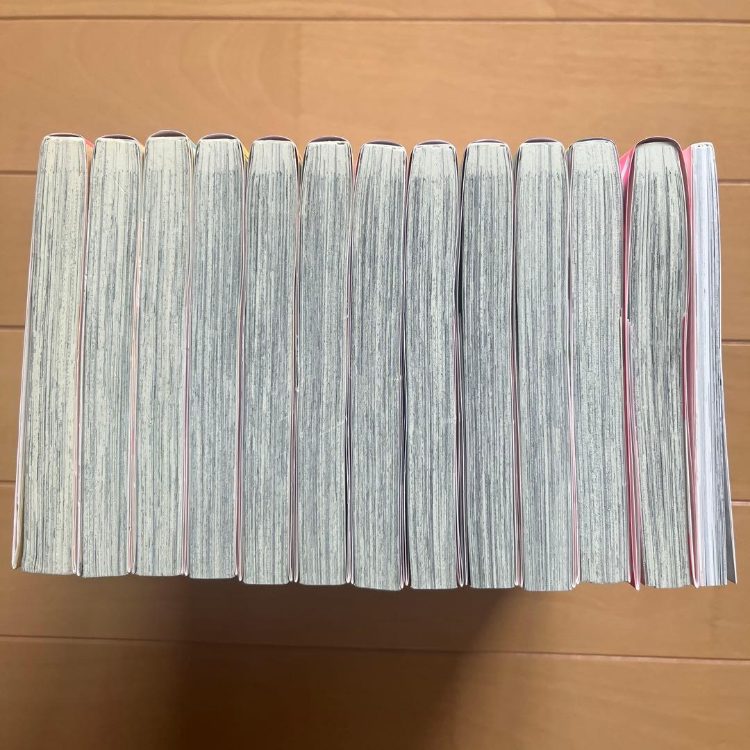 「主人恋日記」　全12巻　特装版あり