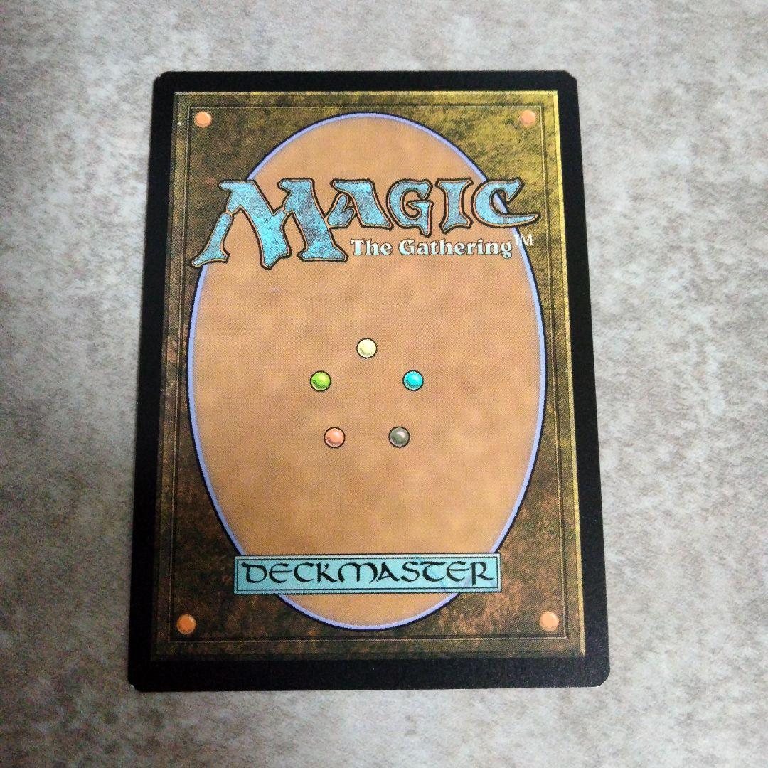 MTG　英語版foil　霧深い雨林