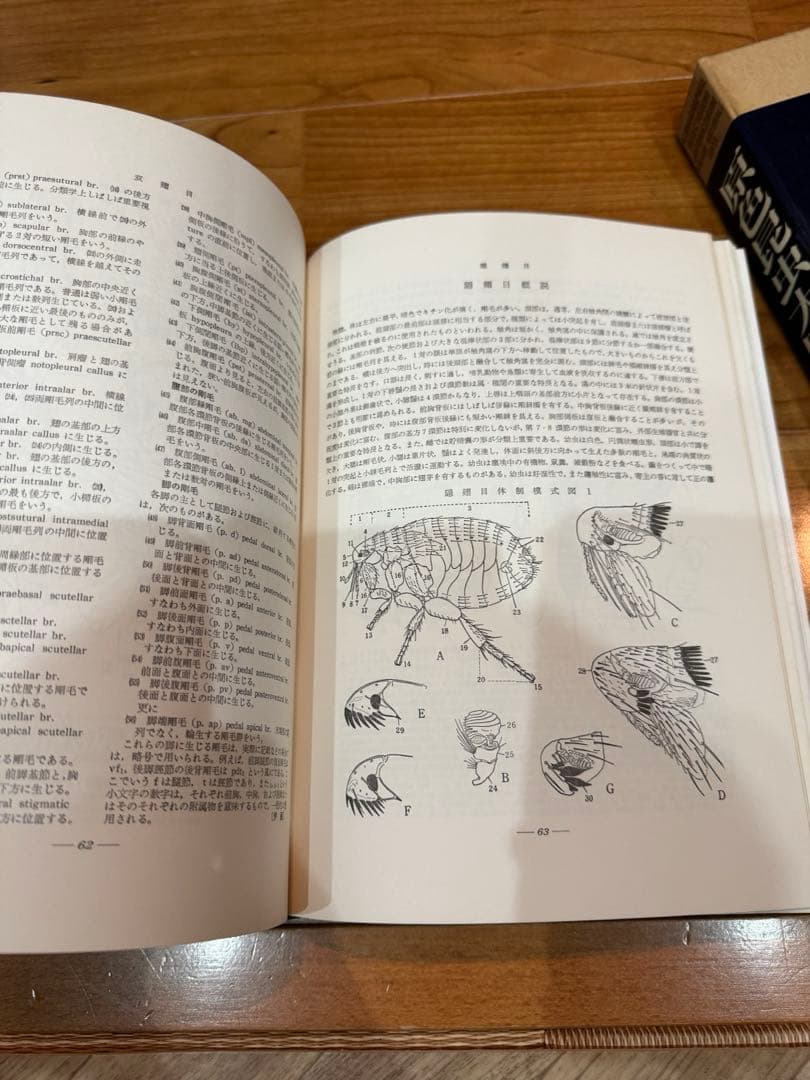 原色昆虫大図鑑　III 朝比奈正二郎