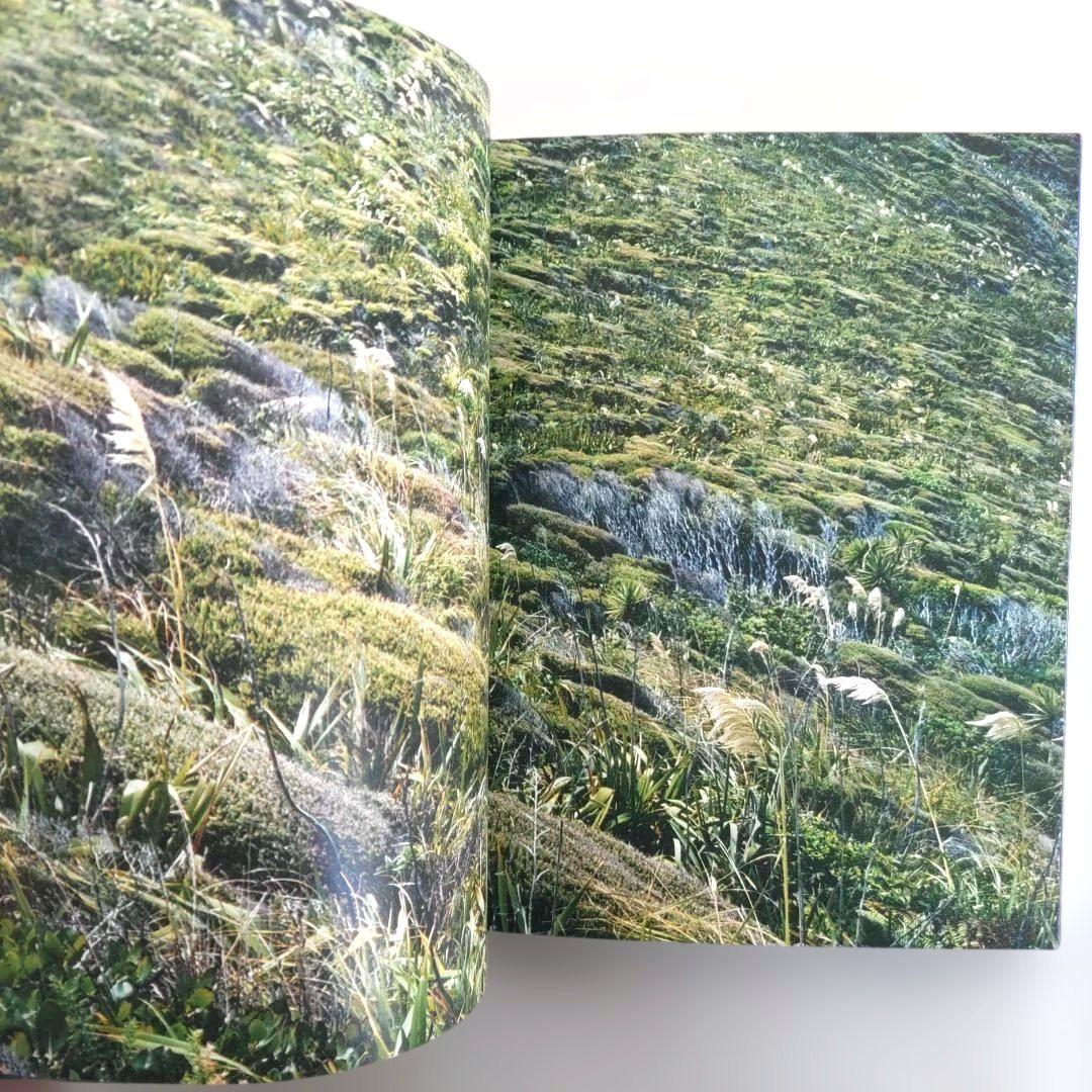 【希少】TANK MAGAZINE#11/ファション 写真 アート イラスト