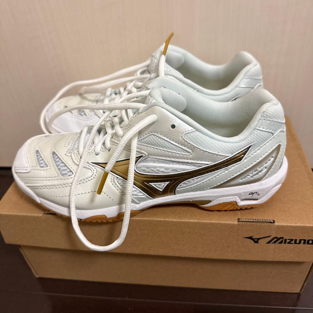 Mizuno WAVE FANG PRO バドミントンシューズ 23.5cm
