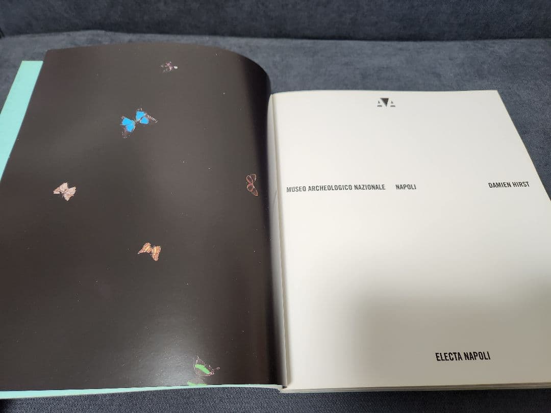 DAMIEN HIRST ダミアン・ハースト　作品集